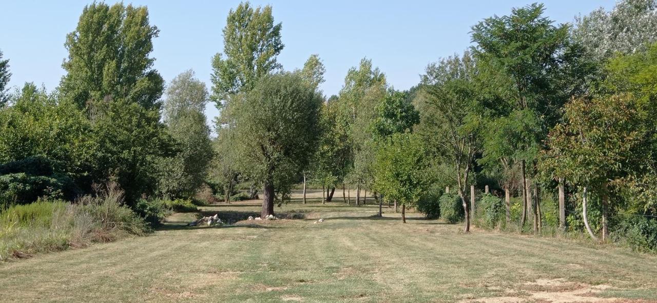 Vegvari Vendeghaz Magyarbóly Buitenkant foto