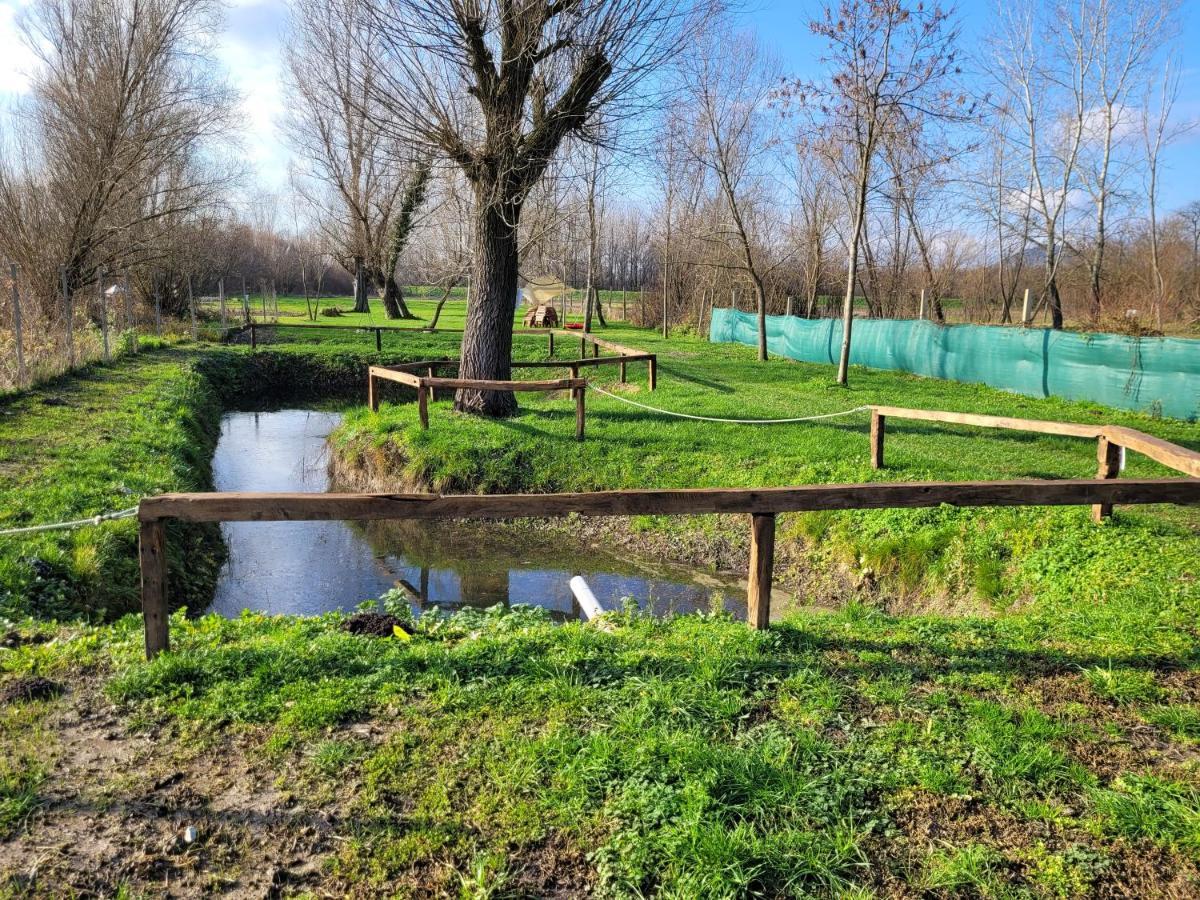 Vegvari Vendeghaz Magyarbóly Buitenkant foto